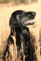 chase 05 _3292