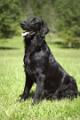 chase sit 9-18-04