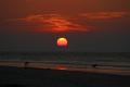 Hilton Head (2)
